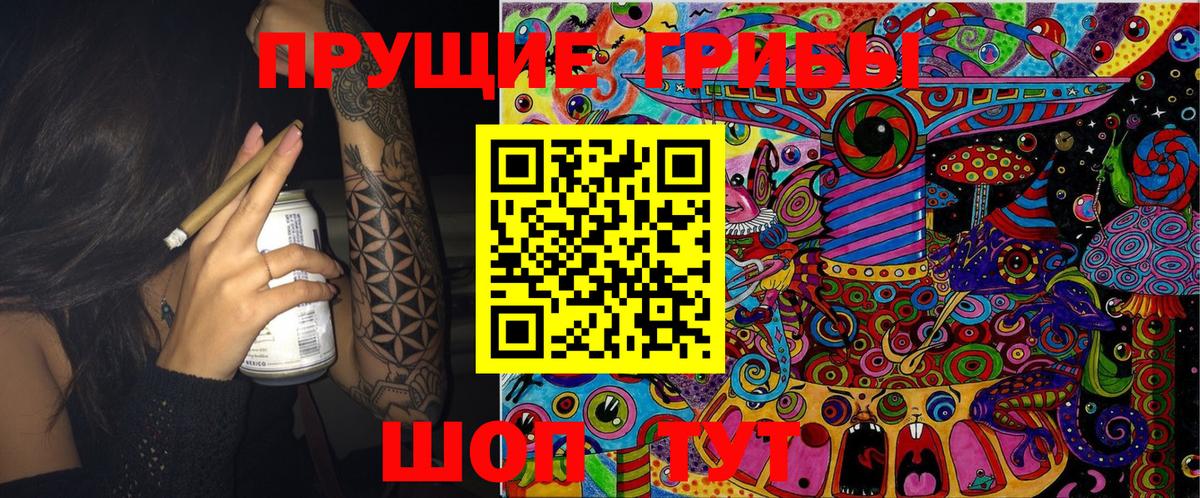 Псилоцибиновые грибы GOLDEN TEACHER Верхний Уфалей