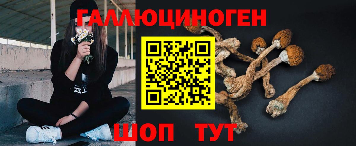 Галлюциногенные грибы MAGIC MUSHROOMS  Псилоцибиновые грибы MAGIC MUSHROOMS  Вход с VPN  Верхний Уфалей 